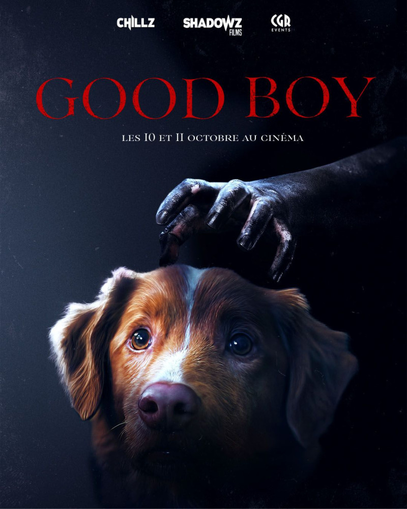 Affiche du film Good Boy