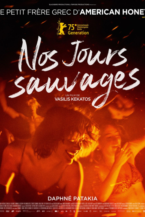 Affiche du film Nos Jours Sauvages